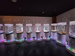 NARA KINGYO MUSEUMに投稿された画像(2025/11/26)