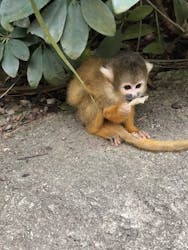 石垣やいま村に投稿された画像(2025/11/27)