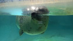 下田海中水族館に投稿された画像(2025/11/28)