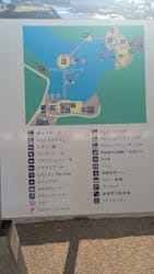 下田海中水族館に投稿された画像(2025/11/28)