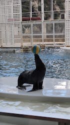 城崎マリンワールドに投稿された画像(2025/11/28)