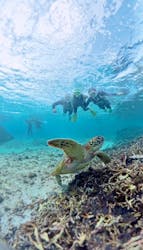 nico 宮古島に投稿された画像(2025/11/28)