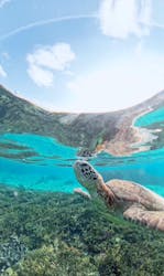 nico 宮古島に投稿された画像(2025/11/28)