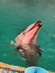 城崎マリンワールドに投稿された画像(2025/11/29)