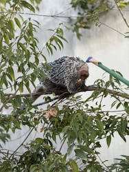 霞ケ浦 どうぶつとみんなのいえに投稿された画像(2025/11/29)