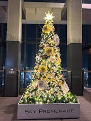 屋外展望台スカイプロムナードに投稿された画像(2025/11/29)