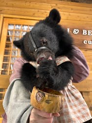 奥飛騨クマ牧場に投稿された画像(2025/11/29)