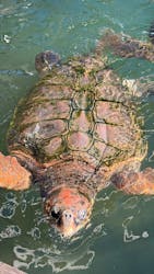 串本海中公園水族館に投稿された画像(2025/11/30)