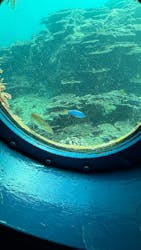 串本海中公園水族館に投稿された画像(2025/11/30)