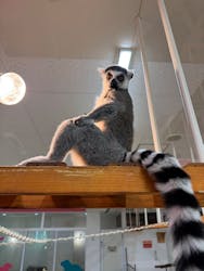 アニタッチ MARK IS 静岡に投稿された画像(2025/11/30)