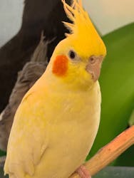 アニタッチ MARK IS 静岡に投稿された画像(2025/11/30)