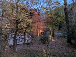 モダン湯治 おんりーゆーに投稿された画像(2025/11/30)