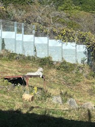 伊豆アニマルキングダムに投稿された画像(2025/11/30)