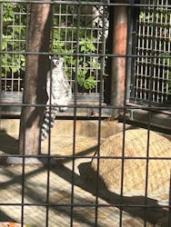 千葉市動物公園に投稿された画像(2025/11/30)