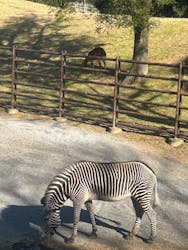 千葉市動物公園に投稿された画像(2025/11/30)