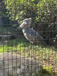 千葉市動物公園に投稿された画像(2025/11/30)