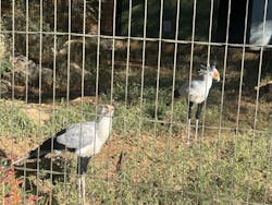 千葉市動物公園に投稿された画像(2025/11/30)