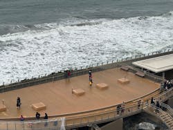 アクアワールド茨城県大洗水族館に投稿された画像(2025/11/30)