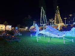 美らヤシパークオキナワ・東南植物楽園に投稿された画像(2025/11/30)