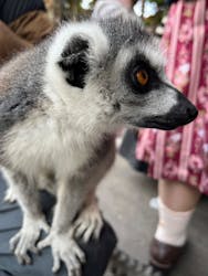 伊豆シャボテン動物公園に投稿された画像(2025/12/1)