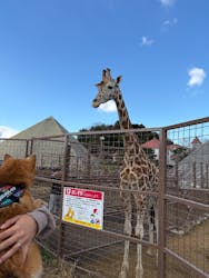 伊豆シャボテン動物公園に投稿された画像(2025/12/1)