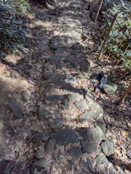 三溪園に投稿された画像(2025/12/1)