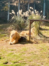 伊豆アニマルキングダムに投稿された画像(2025/12/1)