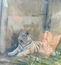 伊豆アニマルキングダムに投稿された画像(2025/12/1)