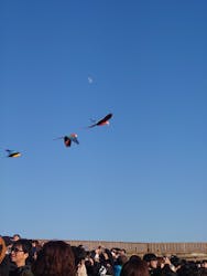 那須どうぶつ王国に投稿された画像(2025/12/1)