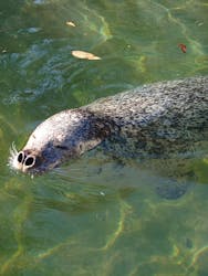 那須どうぶつ王国に投稿された画像(2025/12/1)