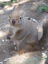 那須どうぶつ王国に投稿された画像(2025/12/1)