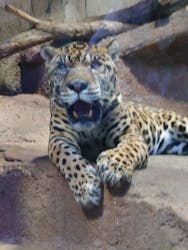 那須どうぶつ王国に投稿された画像(2025/12/1)