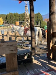 まかいの牧場に投稿された画像(2025/12/1)