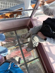 渋川スカイランドパークに投稿された画像(2025/12/1)