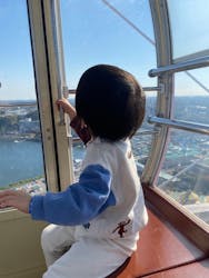 浜名湖パルパルに投稿された画像(2025/12/2)