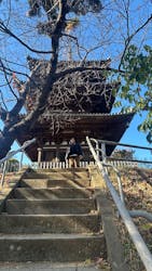 三溪園に投稿された画像(2025/12/2)