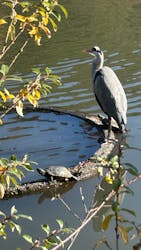 三溪園に投稿された画像(2025/12/2)