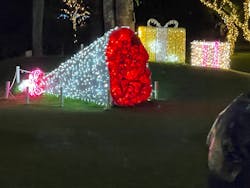 美らヤシパークオキナワ・東南植物楽園に投稿された画像(2025/12/2)