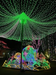 美らヤシパークオキナワ・東南植物楽園に投稿された画像(2025/12/2)