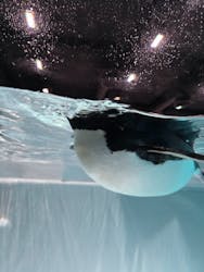 AOAO SAPPOROに投稿された画像(2025/12/3)