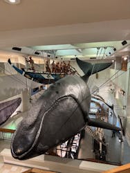 太地町立くじらの博物館に投稿された画像(2025/12/3)