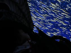 大分マリーンパレス水族館 「うみたまご」に投稿された画像(2025/12/3)