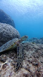 nico 宮古島に投稿された画像(2025/12/4)