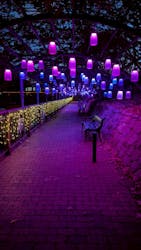 安城産業文化公園デンパークに投稿された画像(2025/12/4)