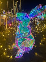 伊豆高原グランイルミに投稿された画像(2025/12/4)