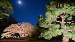 六義園に投稿された画像(2025/12/4)