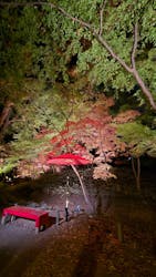 六義園に投稿された画像(2025/12/4)