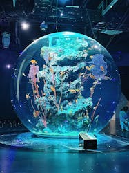 神戸みなと温泉 蓮×AQUARIUM × ART atoaに投稿された画像(2025/12/5)