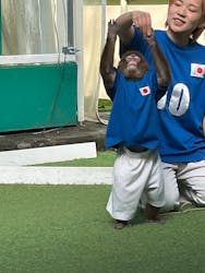 おさるランド&アニタウン 日光さる軍団劇場に投稿された画像(2025/12/5)