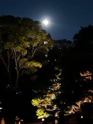 六義園に投稿された画像(2025/12/5)